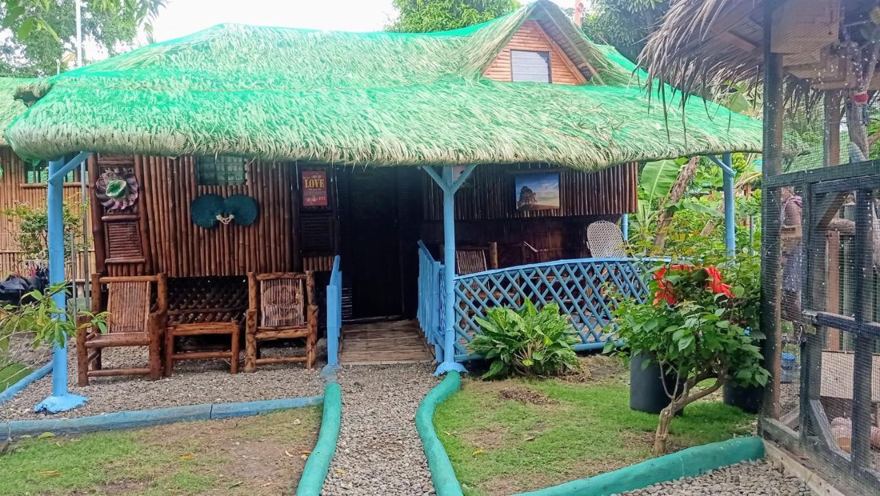 Moalboal Bamboo House / Rooms Eksteriør bilde