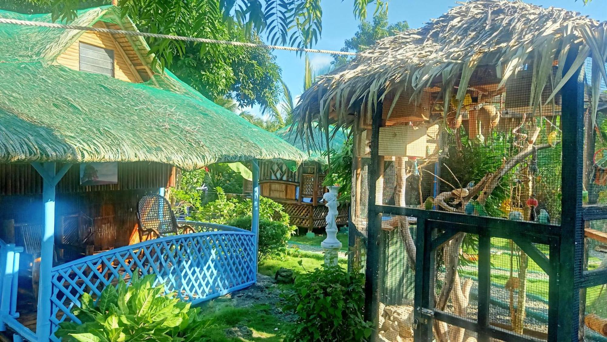 Moalboal Bamboo House / Rooms Rom bilde